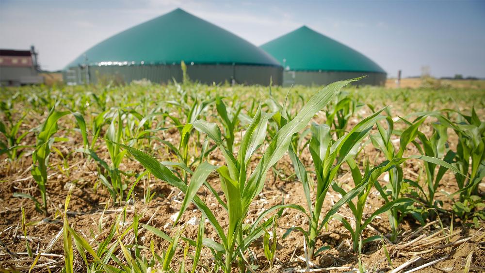 Observatoire du biométhane : Etat des lieux de la filière en France