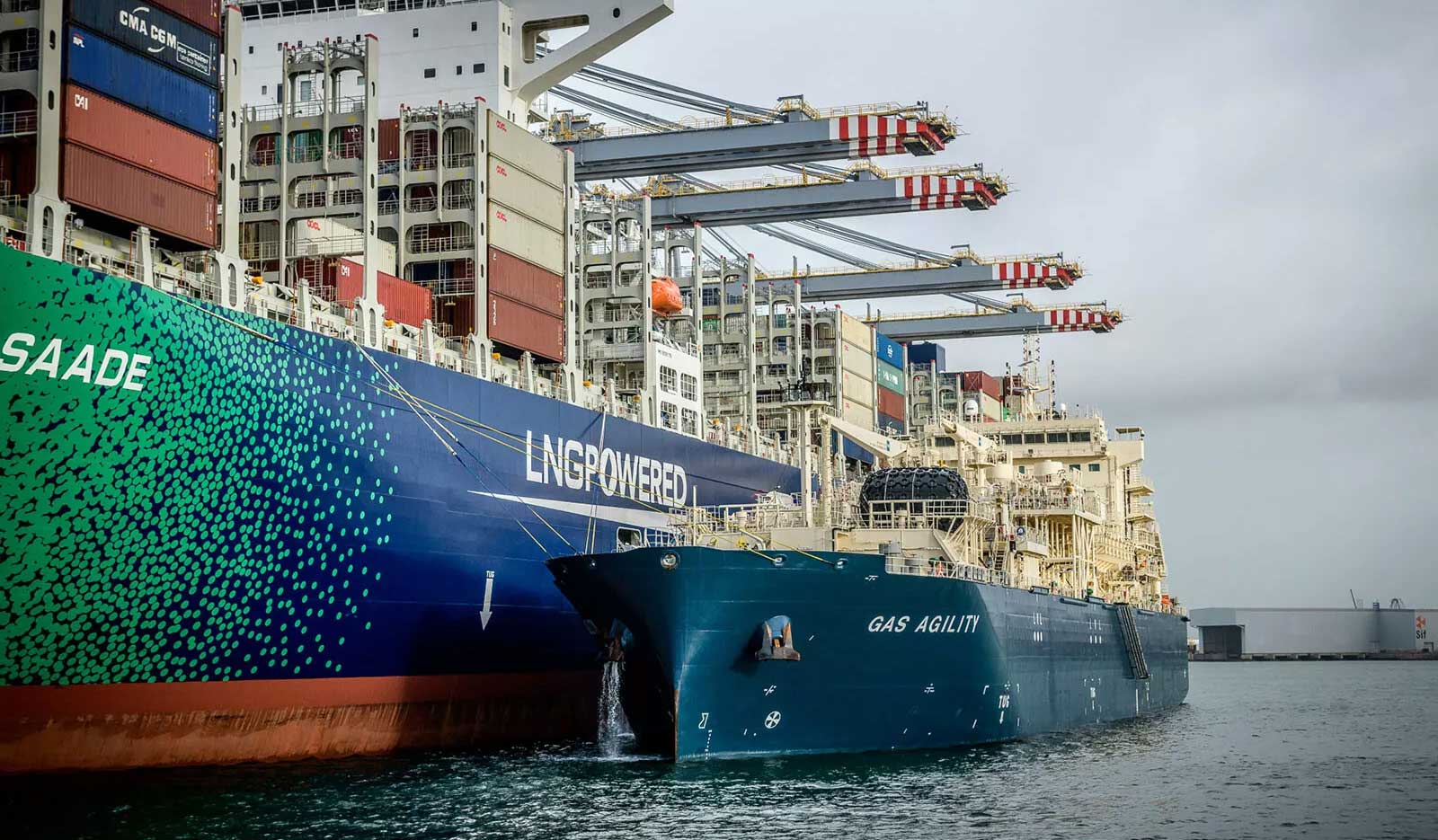Réglementation : cette décision pourrait fragiliser le marché européen du bioGNL maritime